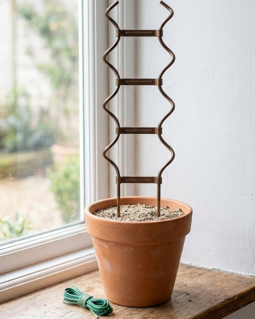 Qwfrm Double-Helix Steel Plant Trellis Bronze 28 Inch - Lifestyle view
