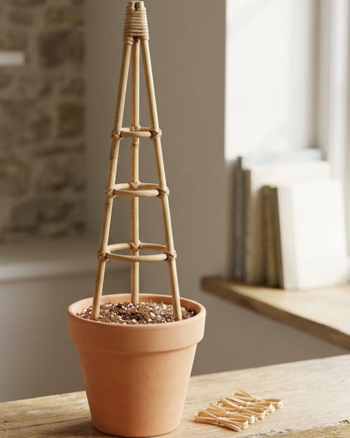 Qwfrm Three-Ring Rattan Obelisk Plant Support Natural 36 Inch - Lifestyle view
